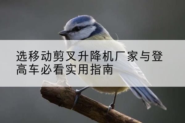 临江电动升降机厂家-选移动剪叉升降机厂家与登高车必看实用指南