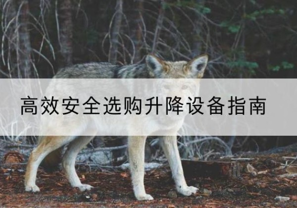 临江升降货梯厂家推荐-*安全选购升降设备指南