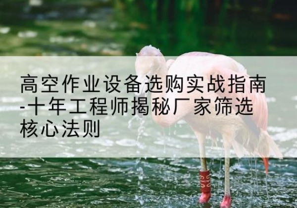 临江剪叉式升降机厂家-高空作业设备选购实战指南-十年工程师揭秘厂家筛选核心法则